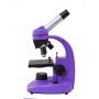 Микроскоп Levenhuk Rainbow 50L NG AmethystАметист