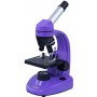Микроскоп Levenhuk Rainbow 50L NG AmethystАметист