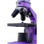 Микроскоп Levenhuk Rainbow 2L NG AmethystАметист