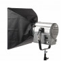Софтбокс GreenBean SoftFresnel 6060 HC с сотами